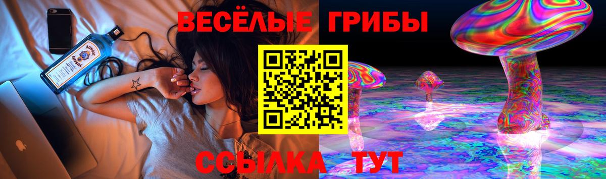 Псилоцибиновые грибы мицелий  Вход с VPN  Галлюциногенные грибы мицелий  Верхняя Пышма 